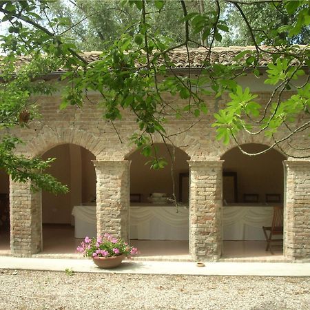 Taglio di Po Tenuta Ca' Zen المظهر الخارجي الصورة