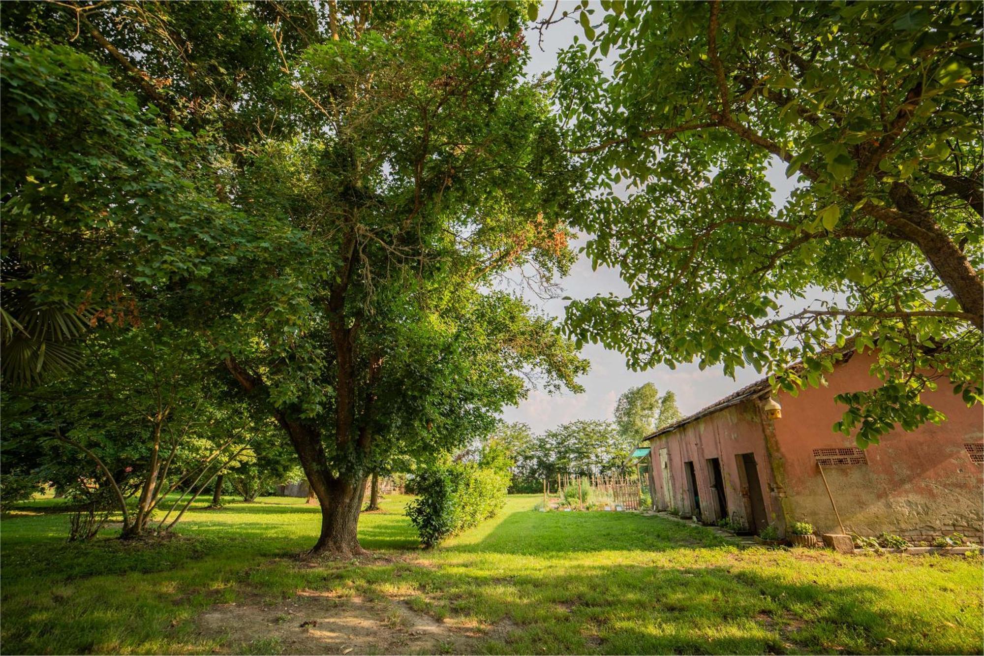 Taglio di Po Tenuta Ca' Zen المظهر الخارجي الصورة